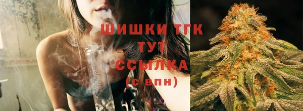 гашик Пестово