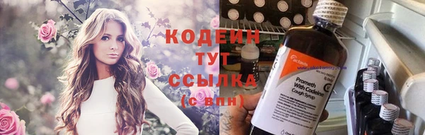 гашик Пестово