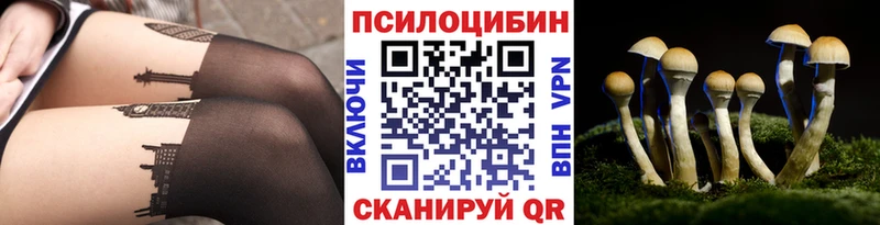 Псилоцибиновые грибы Psilocybe  Мантурово 